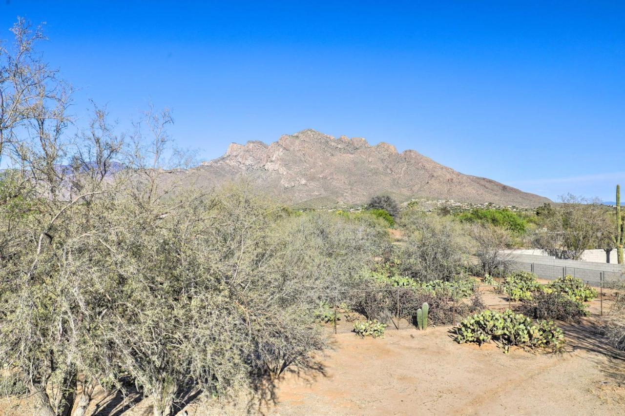 Oro Valley Retreat With Pool, Spa And Rooftop Views! Экстерьер фото